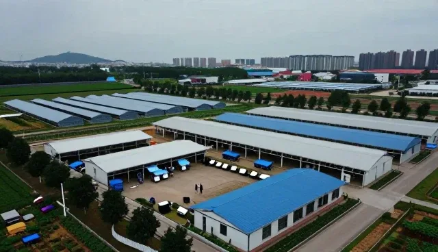 电商运营中系统集成的选型关注点分析